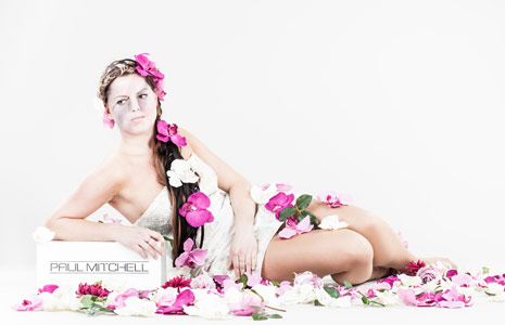 网络手机号免费版